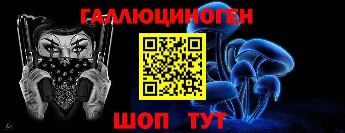 Ефремов  Галлюциногенные грибы прущие грибы  Галлюциногенные грибы Psilocybe  Вход с VPN 